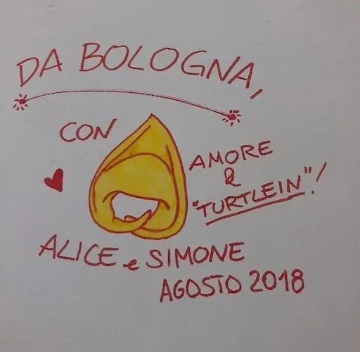 Fresco E Colorato Appartamentino In *